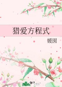 獵愛方程式